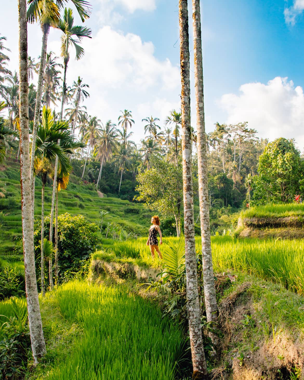 Tegalalang Rice Terraces near Ubud