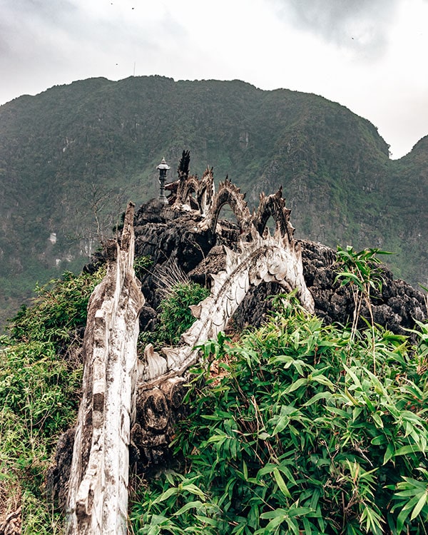 things to do in Ninh Binh